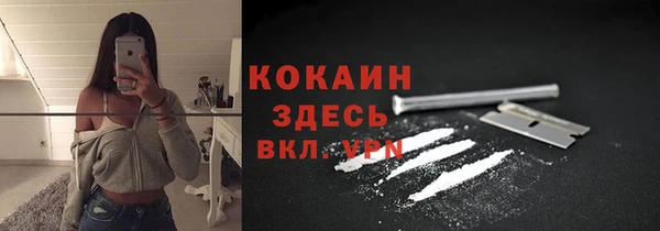 тгк Алексин