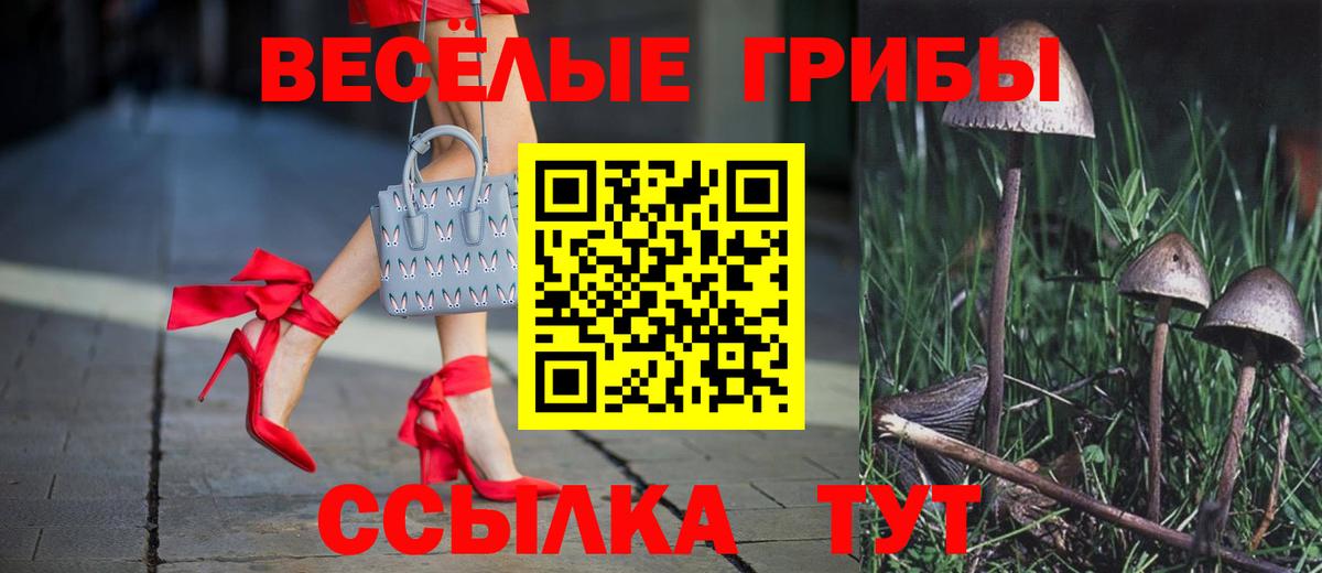 Кызыл  Псилоцибиновые грибы Magic Shrooms  Псилоцибиновые грибы Psilocybine cubensis  Вход с VPN 