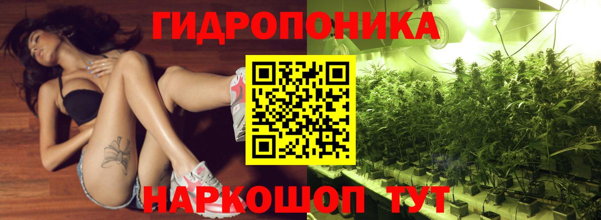 Канабис Bruce Banner Кызыл